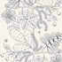 Blommen fabric in noir blanc color - pattern number 5007490 - by Schumacher in the Drawn from Nature collection