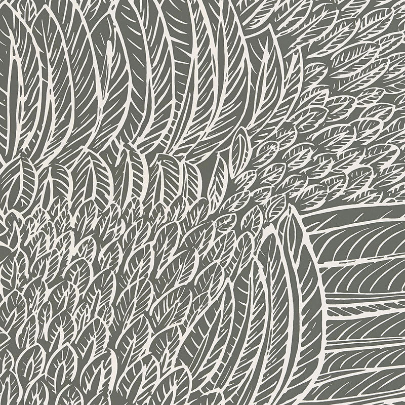 Featherfest wallpaper in slate color - pattern number 5007564 - by Schumacher in the Drawn from Nature collection