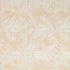 Bone Frame wallpaper in natural color - pattern number 5007730 - by Schumacher in the Celerie Kemble collection