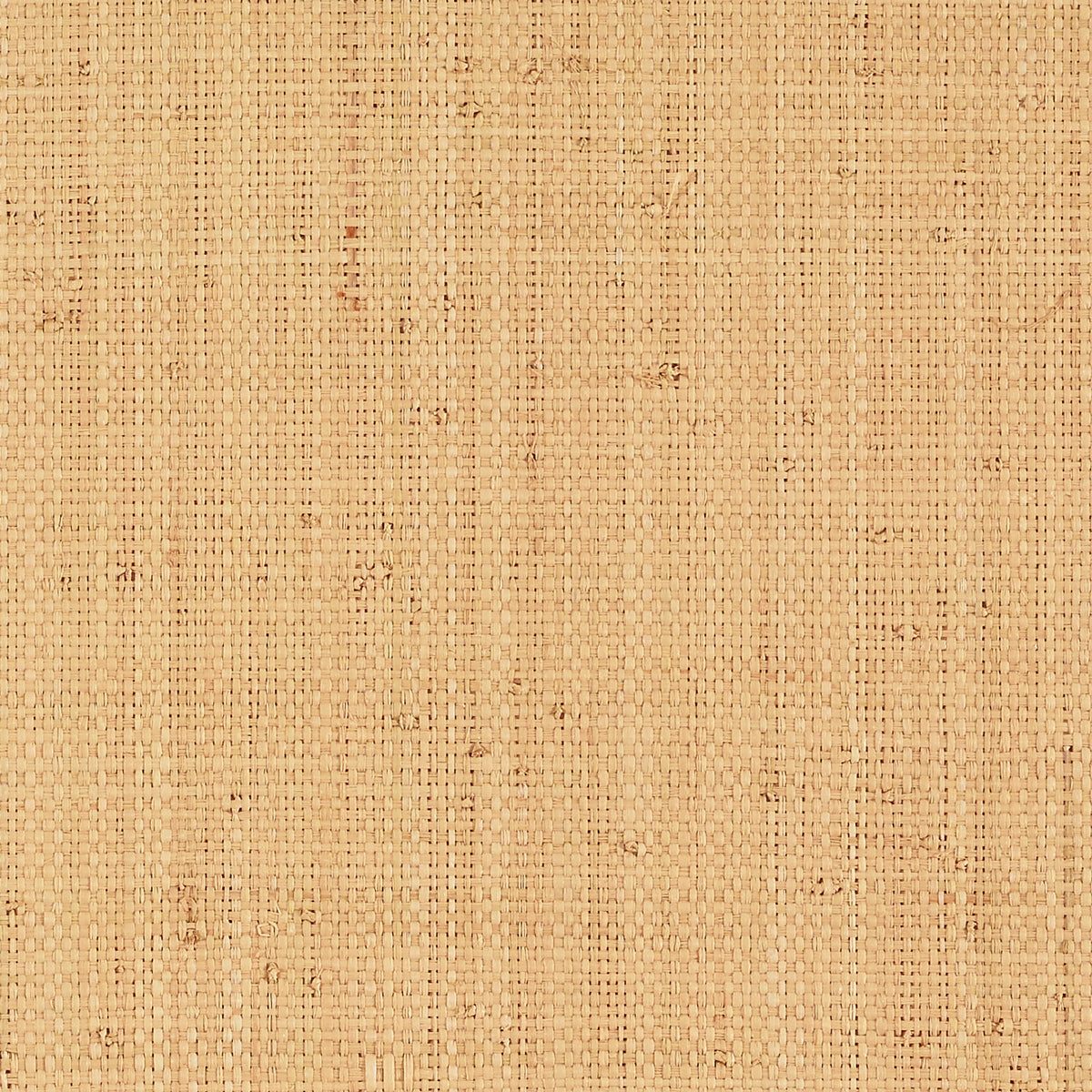 Nakara wallpaper in natural color - pattern number 5007940 - by Schumacher in the Quiet Beauty collection