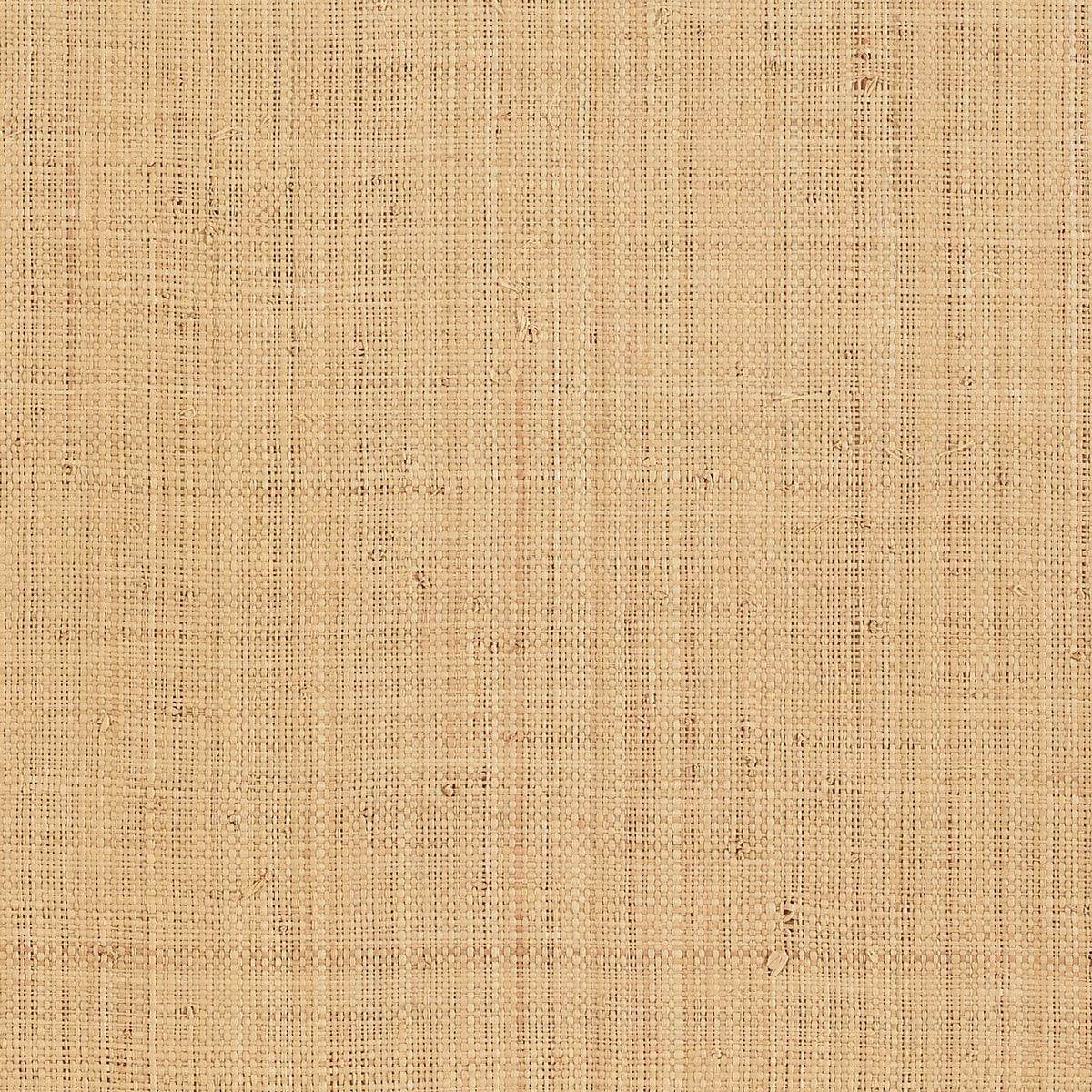 Nakara Fine fabric in natural color - pattern number 5007950 - by Schumacher in the Quiet Beauty collection