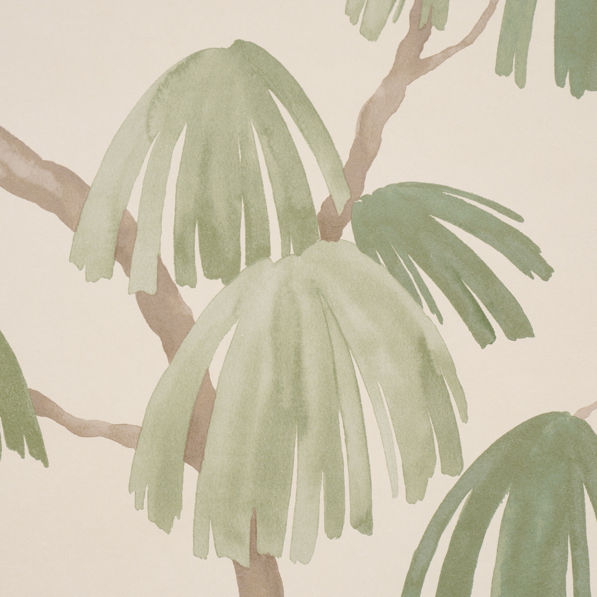 Weeping Pine Wallpaper in green color - pattern number 5008335 - by Schumacher in the Perennial Favorites collection