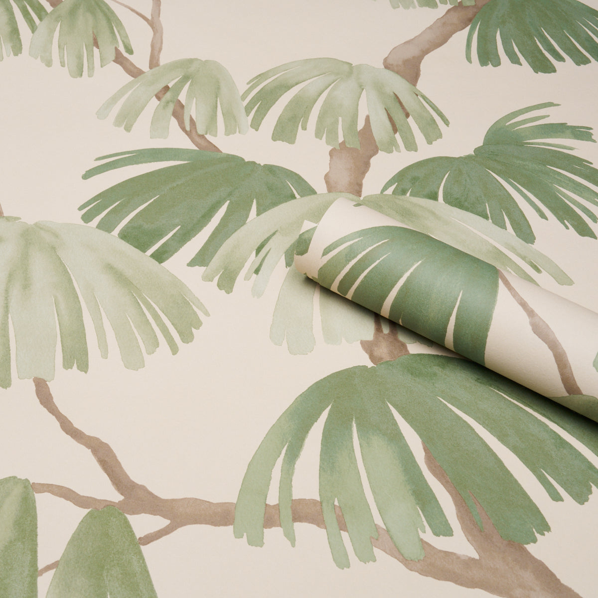 Weeping Pine Wallpaper in green color - pattern number 5008335 - by Schumacher in the Perennial Favorites collection