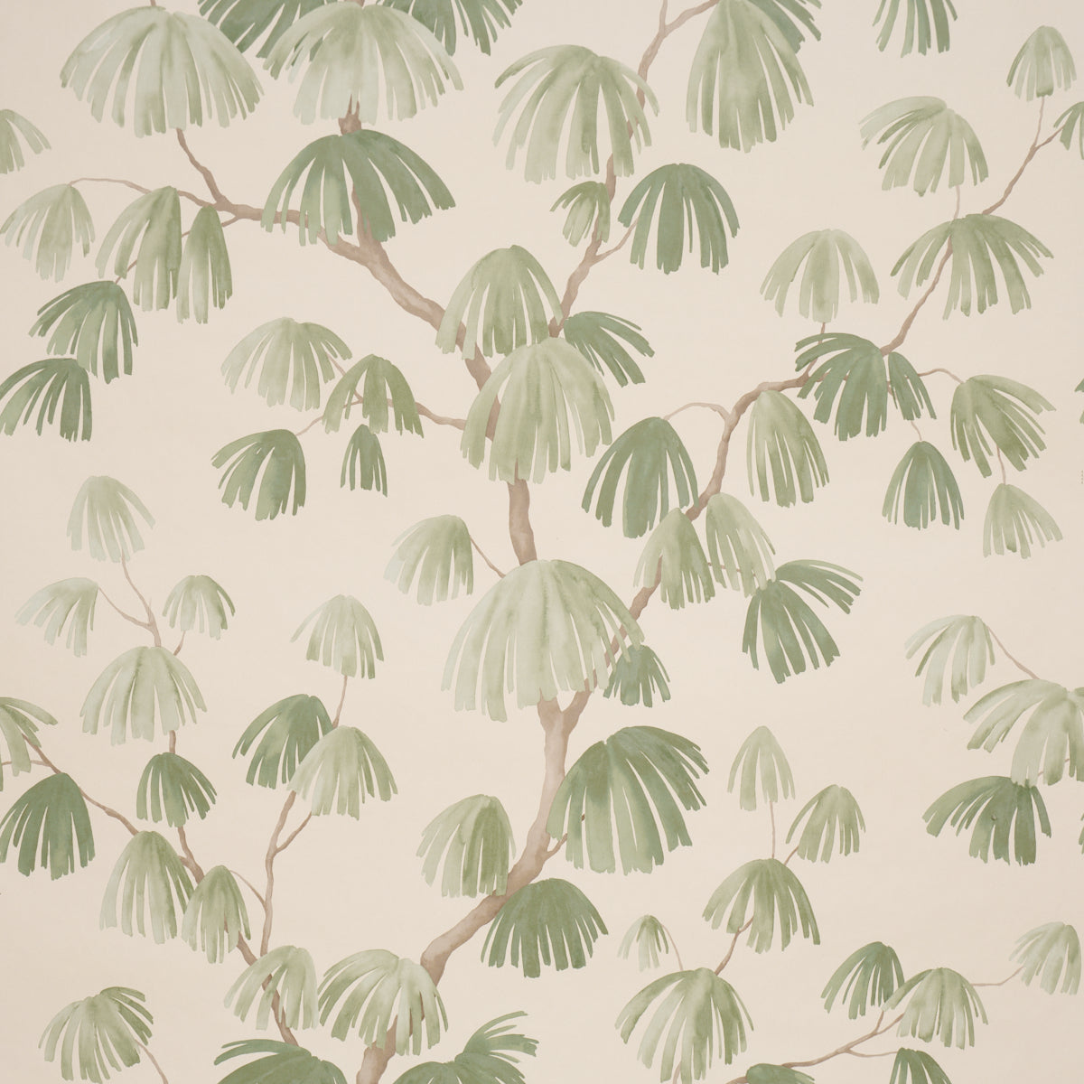 Weeping Pine Wallpaper in green color - pattern number 5008335 - by Schumacher in the Perennial Favorites collection