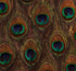 Peacock Ore wallpaper in peacock color - pattern number 5008370 - by Schumacher in the Plume collection
