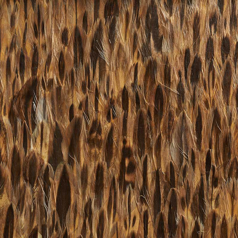 Amber wallpaper in coco color - pattern number 5008377 - by Schumacher in the Plume collection