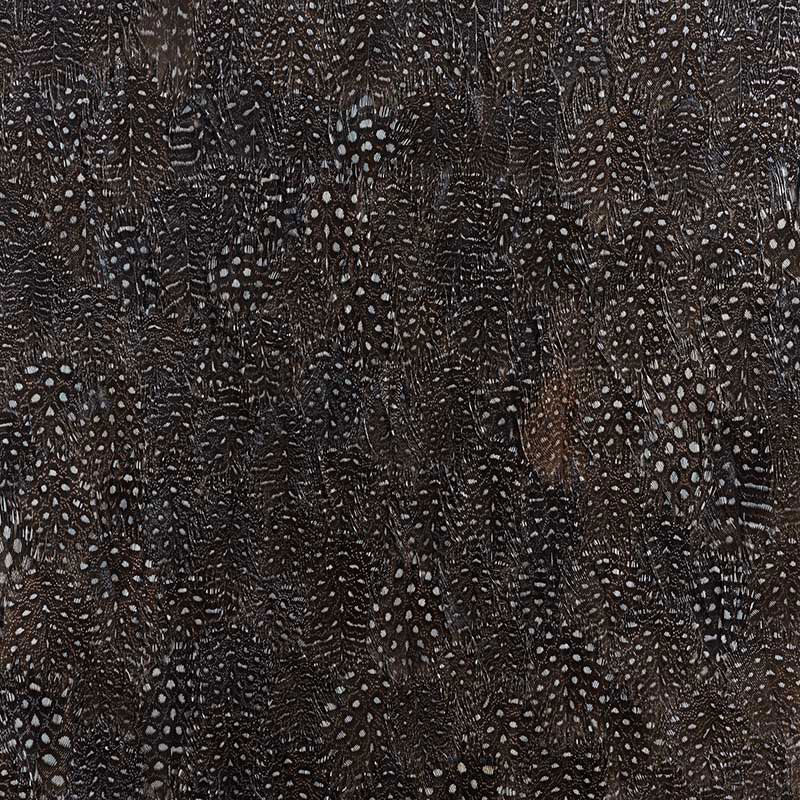Titanium wallpaper in black and white color - pattern number 5008378 - by Schumacher in the Plume collection