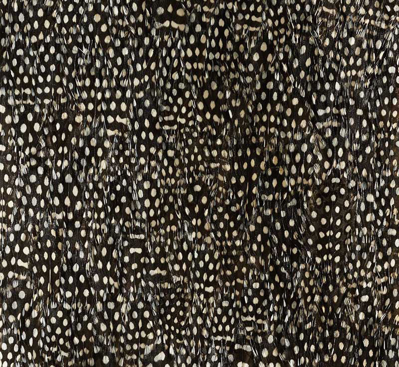 Zinc wallpaper in black and white color - pattern number 5008379 - by Schumacher in the Plume collection