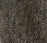 Zinc wallpaper in black and white color - pattern number 5008379 - by Schumacher in the Plume collection
