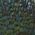 Jade wallpaper in forest green color - pattern number 5008380 - by Schumacher in the Plume collection