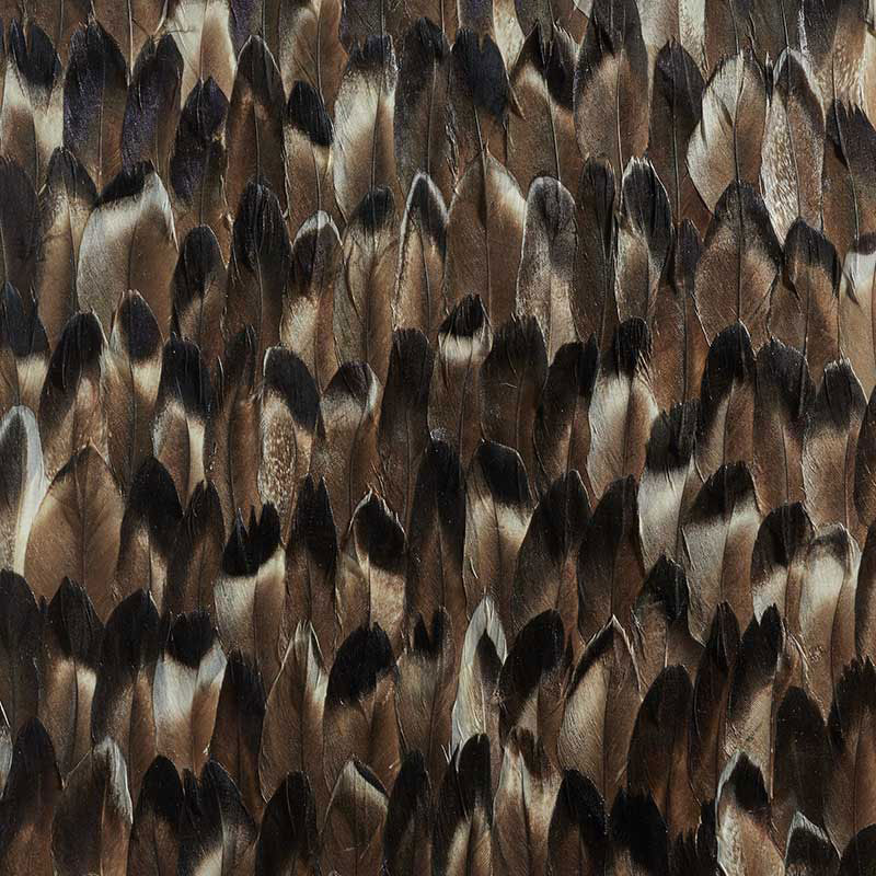Pyrite wallpaper in black smoke color - pattern number 5008382 - by Schumacher in the Plume collection