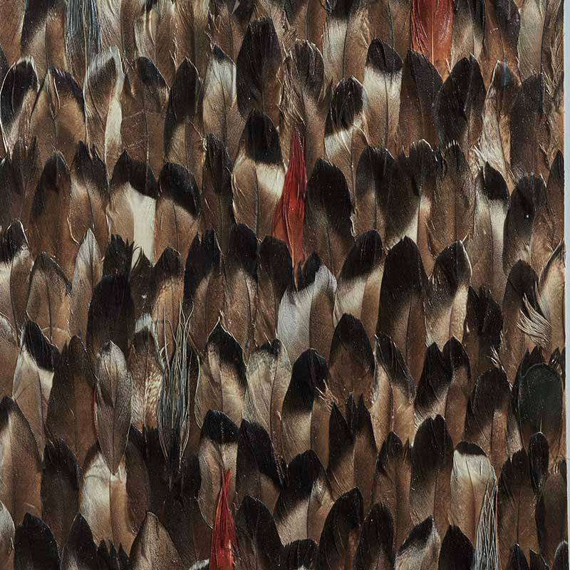 Averlite wallpaper in black smoke color - pattern number 5008383 - by Schumacher in the Plume collection