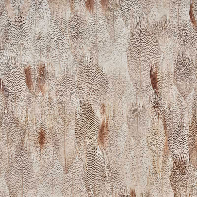 Alabaster wallpaper in floral white color - pattern number 5008385 - by Schumacher in the Plume collection