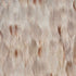 Alabaster wallpaper in floral white color - pattern number 5008385 - by Schumacher in the Plume collection