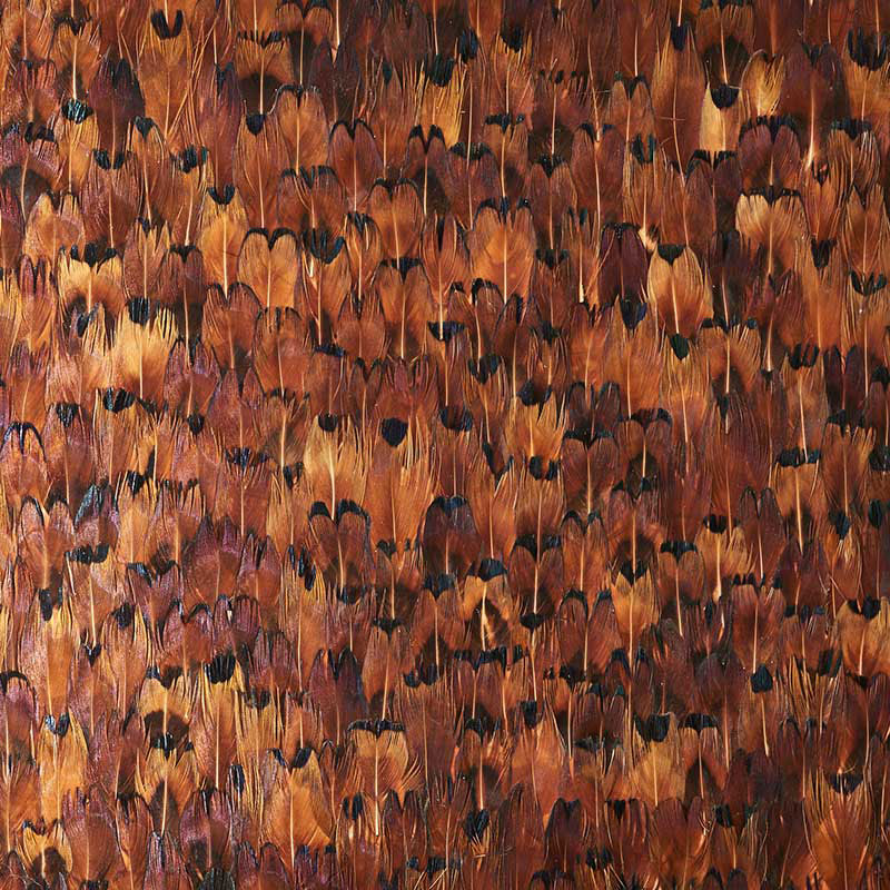 Copper wallpaper in chocolate color - pattern number 5008388 - by Schumacher in the Plume collection