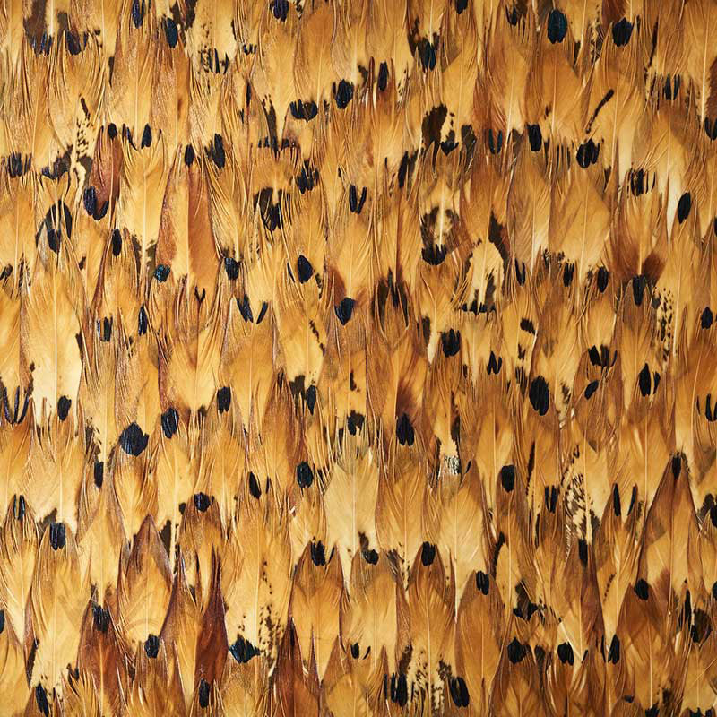 Aventurine wallpaper in tulip yellow color - pattern number 5008389 - by Schumacher in the Plume collection