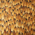 Aventurine wallpaper in tulip yellow color - pattern number 5008389 - by Schumacher in the Plume collection