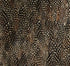 Krypton wallpaper in black pearl color - pattern number 5008390 - by Schumacher in the Plume collection