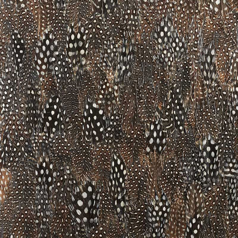 Graphite wallpaper in black pearl color - pattern number 5008391 - by Schumacher in the Plume collection
