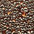 Hematite wallpaper in coffee color - pattern number 5008393 - by Schumacher in the Plume collection