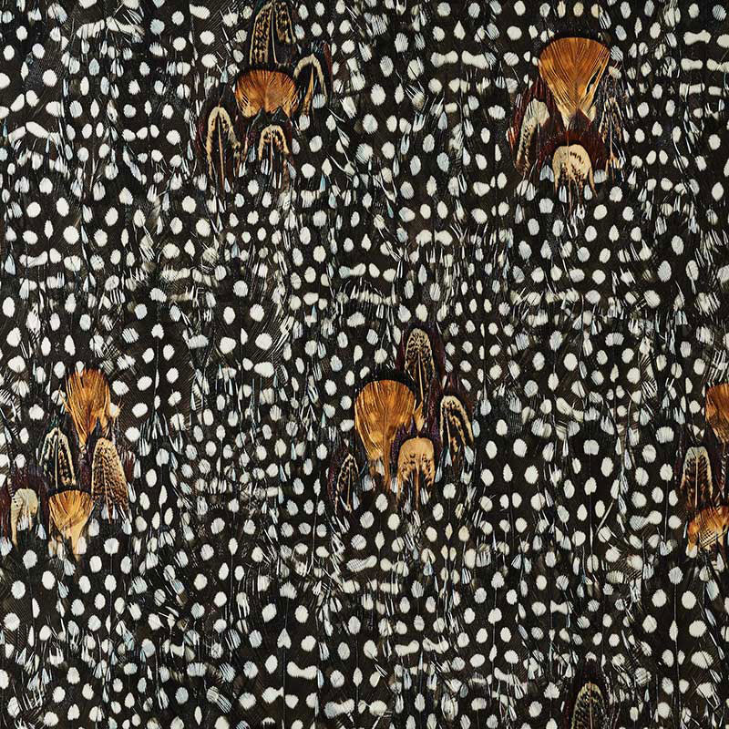 Argentite wallpaper in coral color - pattern number 5008394 - by Schumacher in the Plume collection