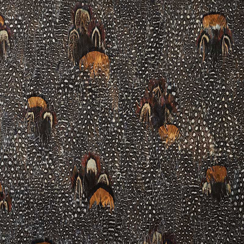 Lodestone wallpaper in coral color - pattern number 5008395 - by Schumacher in the Plume collection