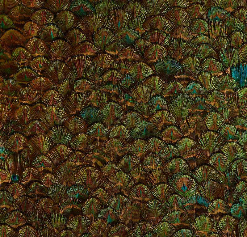 Peridot wallpaper in emerald color - pattern number 5008396 - by Schumacher in the Plume collection