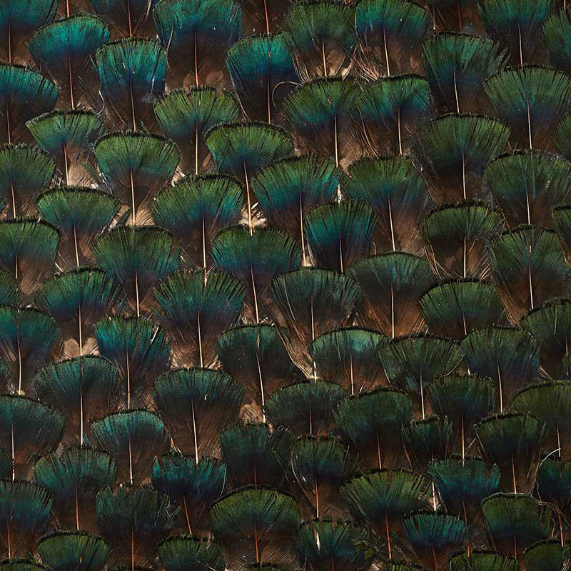 Edenite wallpaper in moss green color - pattern number 5008397 - by Schumacher in the Plume collection