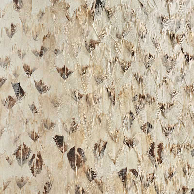 Platinum wallpaper in smoky gray color - pattern number 5008399 - by Schumacher in the Plume collection