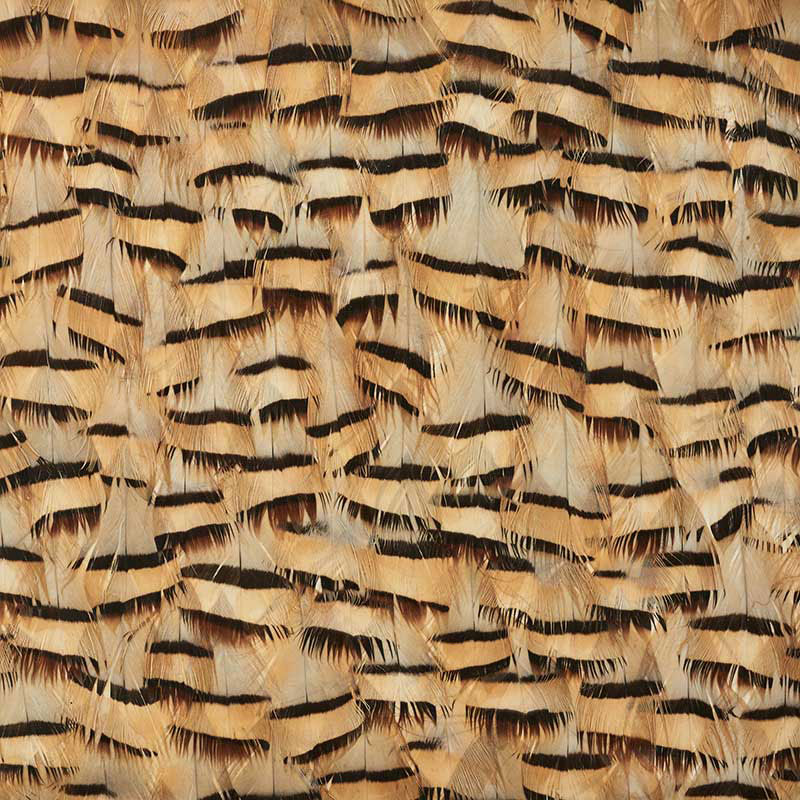 Muscovite wallpaper in cracker khaki color - pattern number 5008401 - by Schumacher in the Plume collection