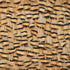 Muscovite wallpaper in cracker khaki color - pattern number 5008401 - by Schumacher in the Plume collection