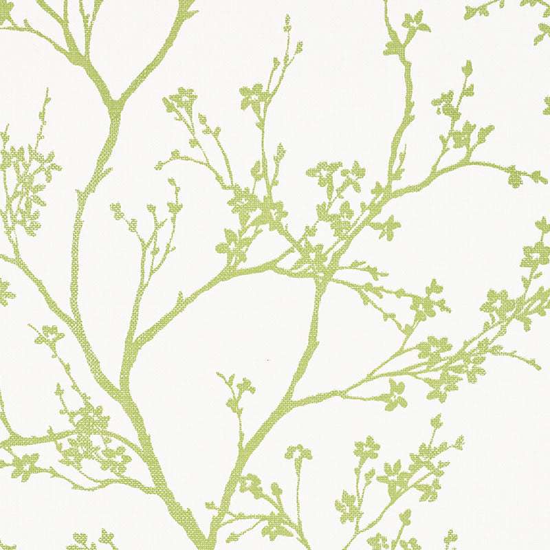 Twiggy Paperweave wallpaper in leaf color - pattern number 5008941 - by Schumacher in the Textural Appeal collection