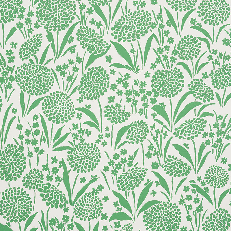 Chrysanthemum wallpaper in green color - pattern number 5009551 - by Schumacher in the Small Print Wallpapers collection