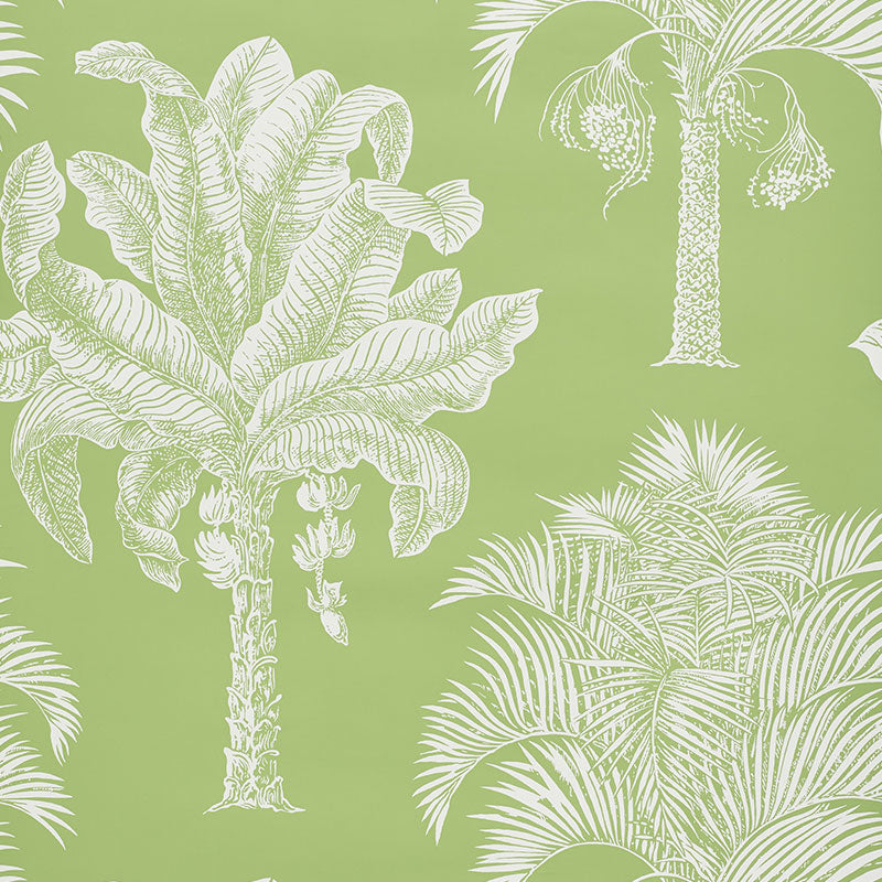 Grand Palms wallpaper in leaf color - pattern number 5009620 - by Schumacher in the New Traditional collection
