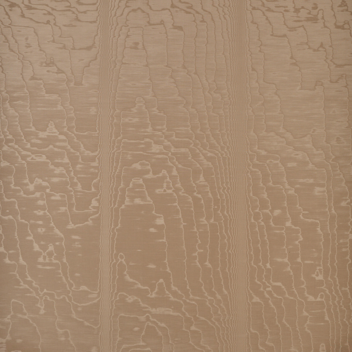 Moire Wallcovering wallpaper in fawn color - pattern number 5009671 - by Schumacher in the Modern Glamour collection