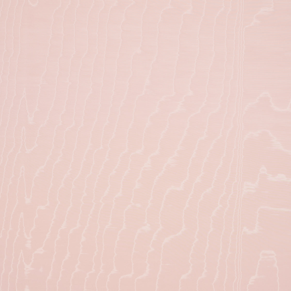 Moire Wallcovering wallpaper in rose color - pattern number 5009675 - by Schumacher in the Le Max collection