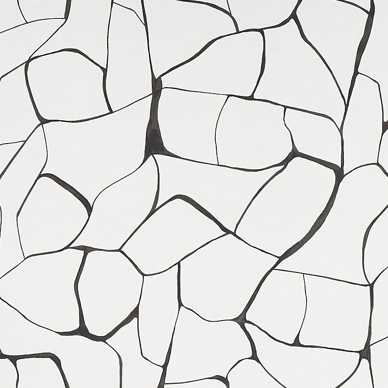 Filigree fabric in black color - pattern number 5009704 - by Schumacher in the Porter Teleo collection