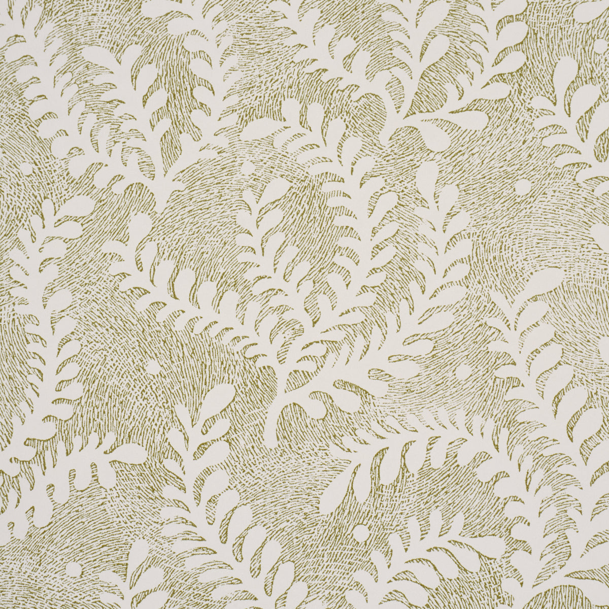 Etched Fern Wallpaper in green color - pattern number 5010383 - by Schumacher in the Perennial Favorites collection