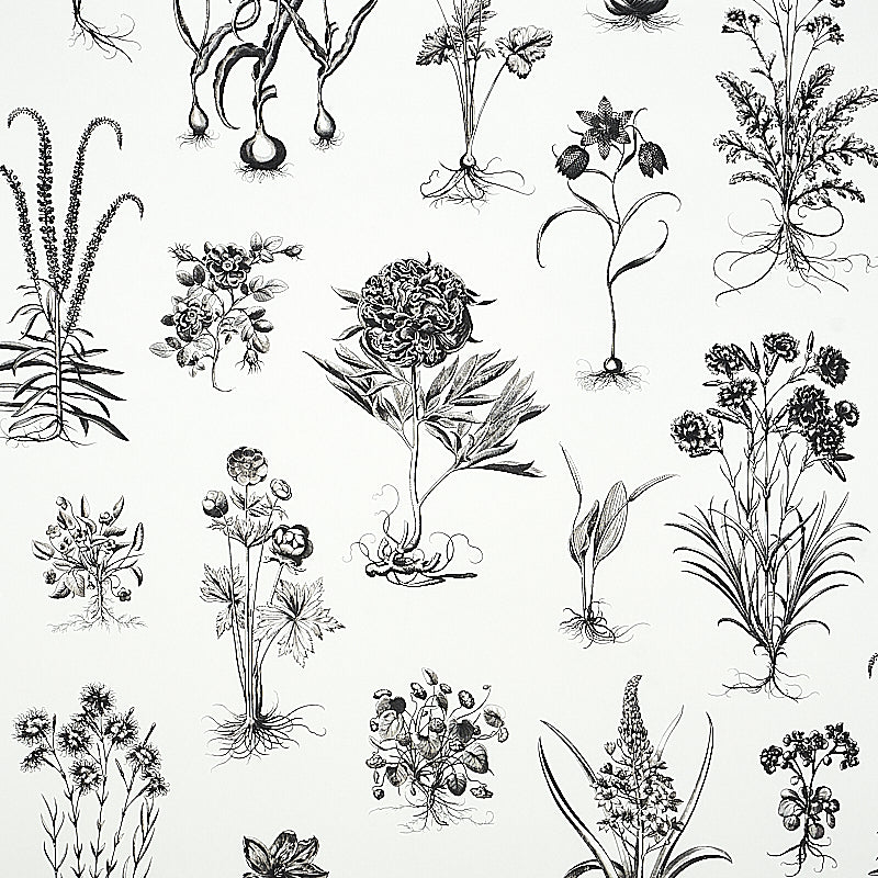 Cabot Botanical Large wallpaper in ivory color - pattern number 5010640 - by Schumacher in the Signature Schumacher collection