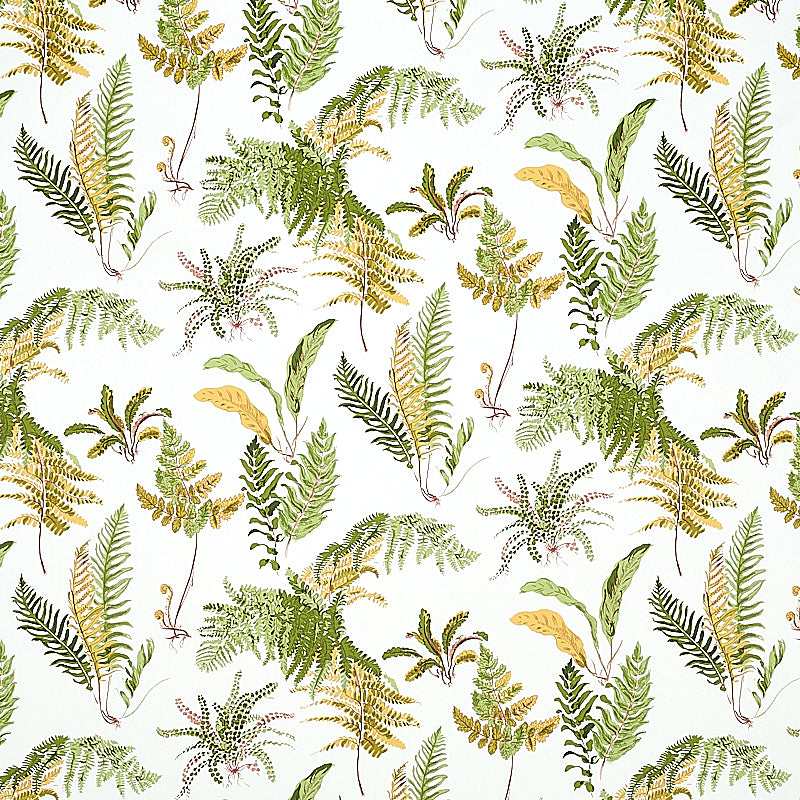 Les Fougeres wallpaper in spring color - pattern number 5010661 - by Schumacher in the Signature Schumacher collection