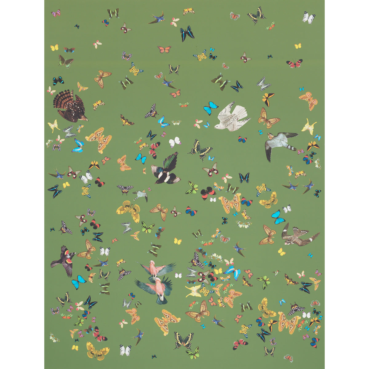 Queens Flight Panel Set wallpaper in green color - pattern number 5010860 - by Schumacher in the Peg Norriss collection