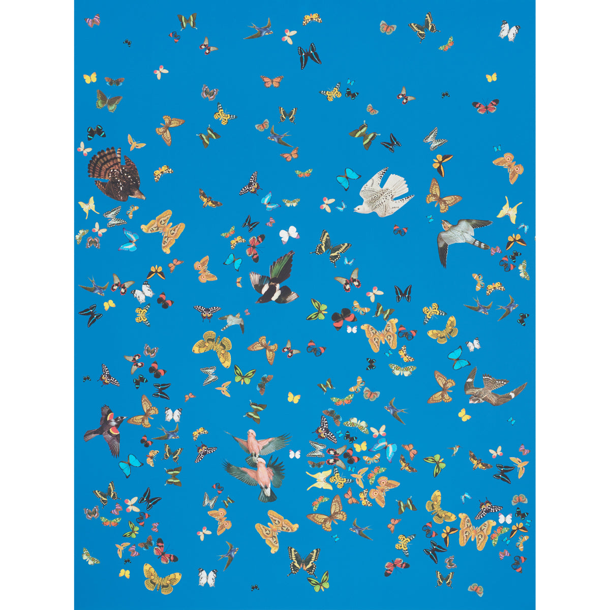 Queens Flight Panel Set wallpaper in royal blue color - pattern number 5010861 - by Schumacher in the Peg Norriss collection