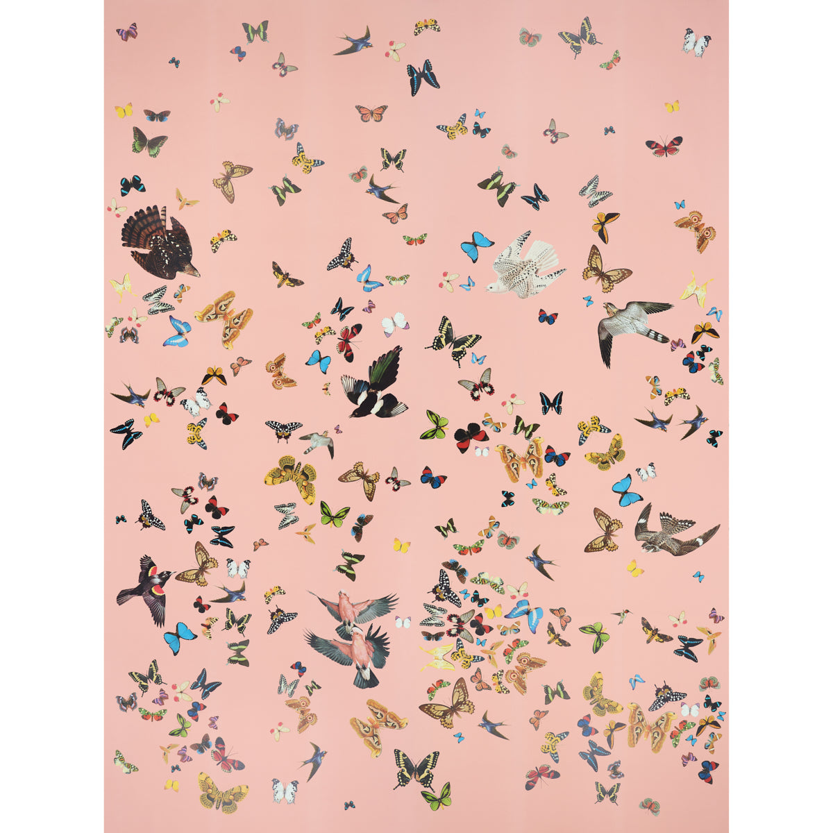 Queens Flight Panel Set wallpaper in pink color - pattern number 5010864 - by Schumacher in the Peg Norriss collection