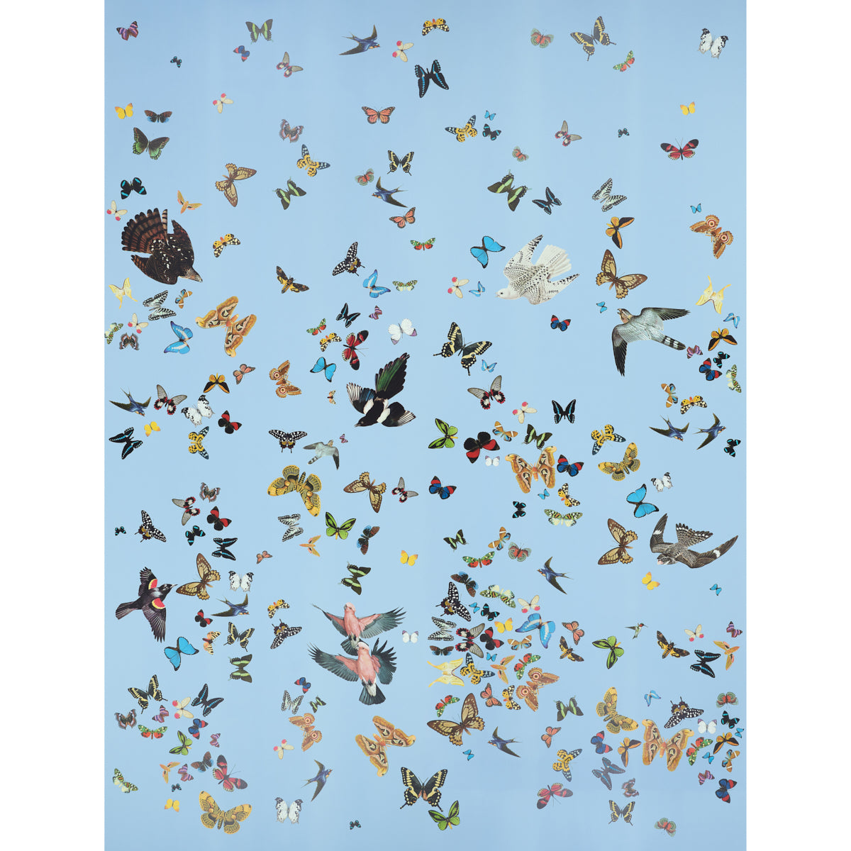 Queens Flight Panel Set wallpaper in sky color - pattern number 5010865 - by Schumacher in the Peg Norriss collection