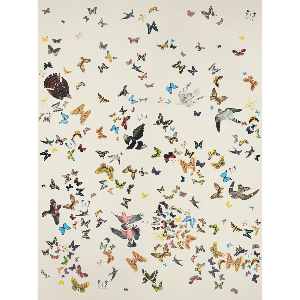 Queens Flight Panel Set Sand 5010866 Wallpaper by Schumacher ...