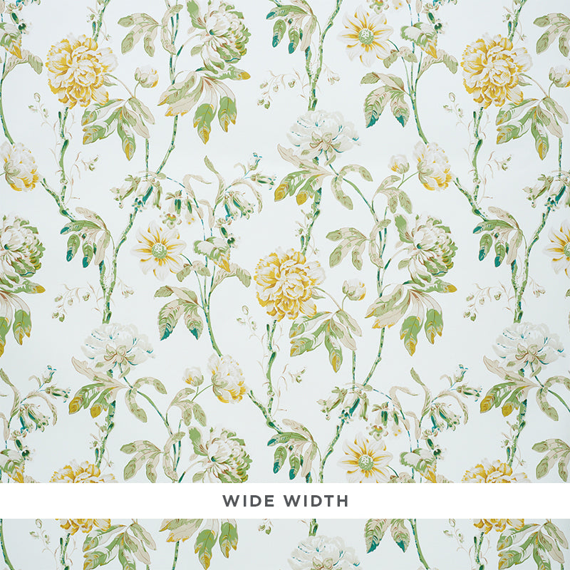 Daydream wallpaper in citron color - pattern number 5011400 - by Schumacher in the Signature Schumacher collection