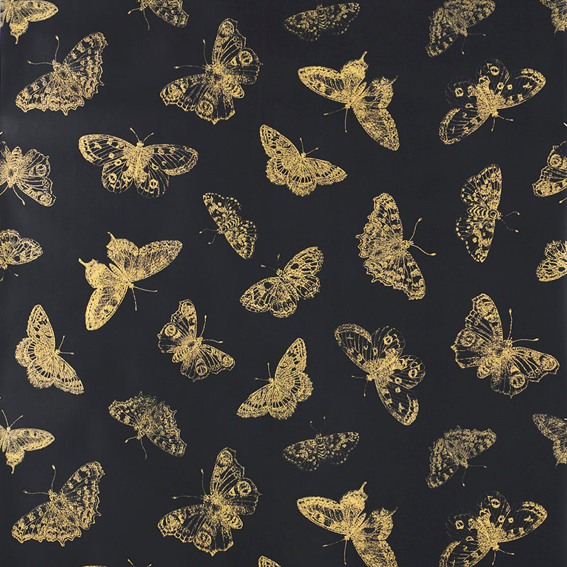Burnell Butterfly wallpaper in black color - pattern number 5011742 - by Schumacher in the Misterioso collection