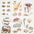 Bauhin wallpaper in document multi color - pattern number 5012090 - by Schumacher in the Signature Schumacher collection