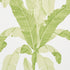 Erisimo wallpaper in leaf color - pattern number 5012110 - by Schumacher in the Copacabana collection