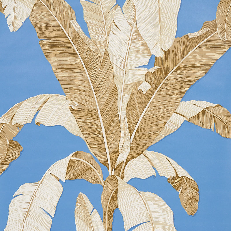 Erisimo wallpaper in blue color - pattern number 5012112 - by Schumacher in the Copacabana collection